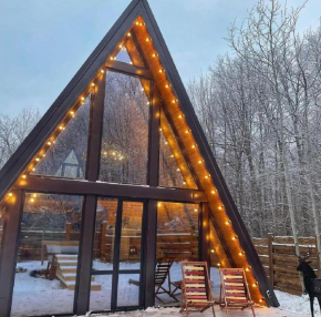 Cozy House
